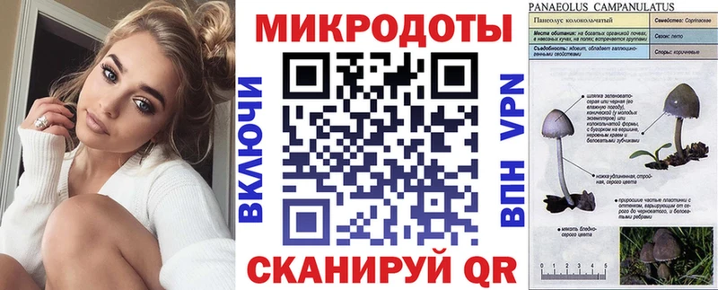 Галлюциногенные грибы прущие грибы Мещовск